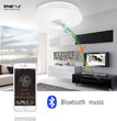 Wi-Fi Smart Ceiling Lamp RGB W W with Speaker