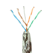 CAT 5e External Cable 305m