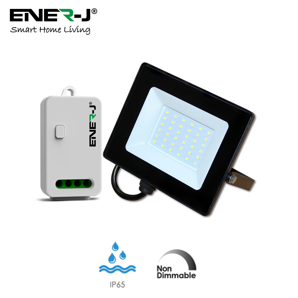 30W LED Floodlight Pre Wired With ECO Series 500W Non Dimmable RF Receiver