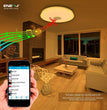 Wi-Fi Smart Ceiling Lamp RGB W W with Speaker