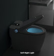 Smart Intelligent Bidet Toilet With Inner Tank