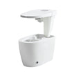 Smart Intelligent Bidet Toilet With Inner Tank